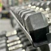 Free Weights