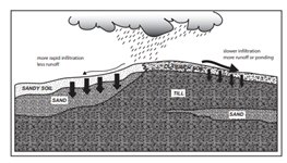 Water falls to Earth's surface