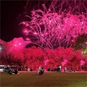 image of fireworks in sky