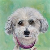 Picture of painted dog