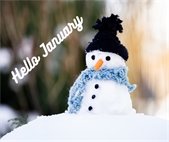 Graphic of "Hello January"